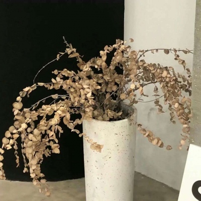 颍泉福瑞交流群